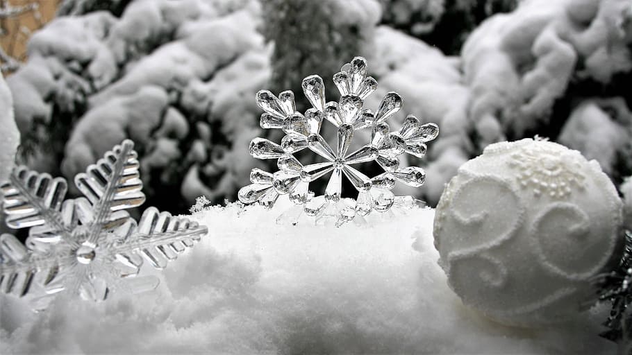 fotografía gris espacial, adornos navideños, hielo, estrellas, nieve, escarcha, blanco, frío, no frío, paisaje