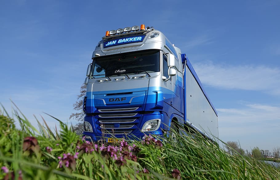 daf, truck, trailer, transport, blue, flowers, grass, berm, english, sky