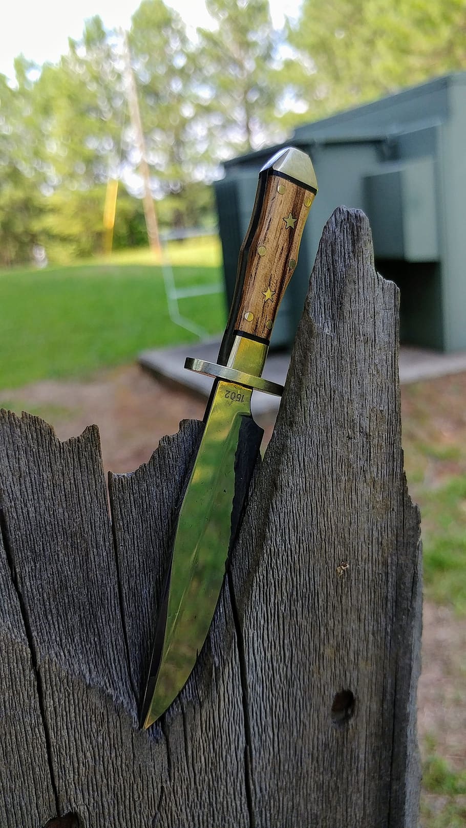 bowie, bowie knife, sharp, outdoors, knife, knives, outdoor, camping, wood, survival