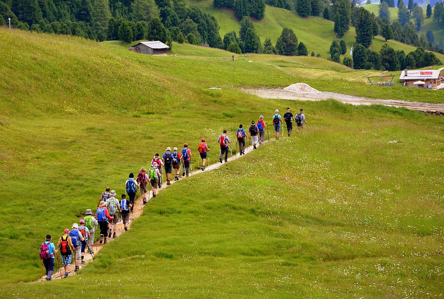 group, people, walking, brown, pathway, green, grasses, hiking, trail, mountain