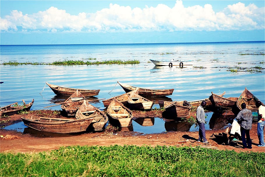 row boats, lakes, lake victoria, lake, uganda, boats, africa, water, sea, nautical vessel