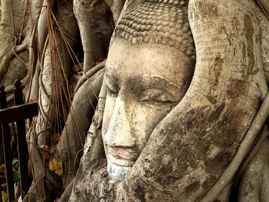 ayutthaya, thailand, kesukuan, patung, oriental, perjalanan, wat, tengara, budaya, cerah