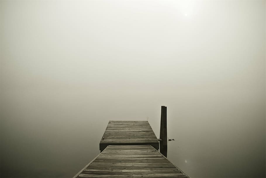 brown, wooden, dock, water, focused, photography, river, wood, fog, lake