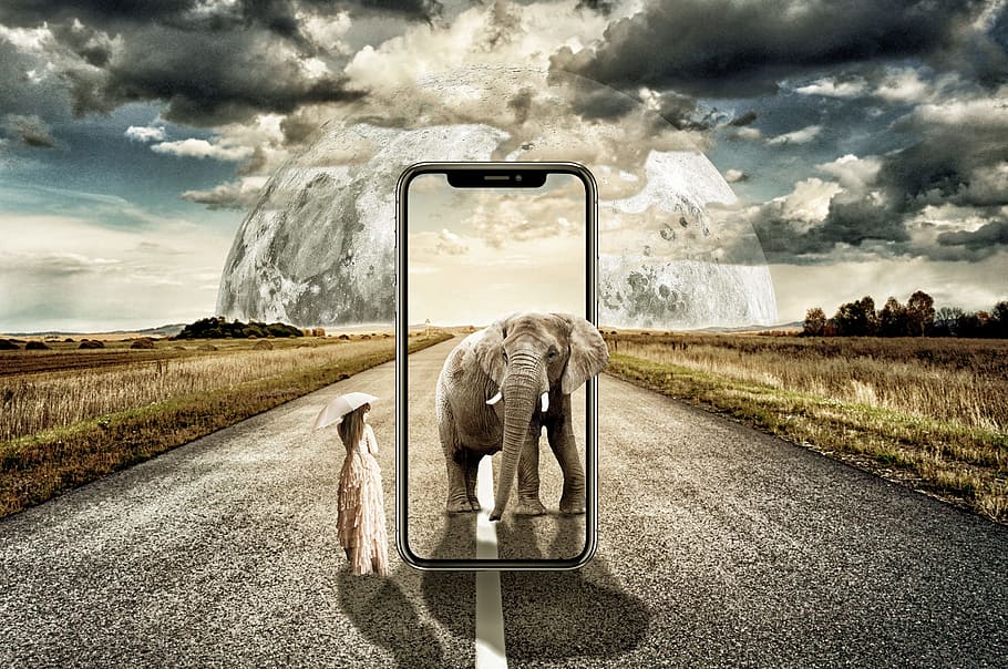 gray, elephant, standing, woman, holding, umbrella smartphone advertisement photo, iphone x, surreal, women, landscape