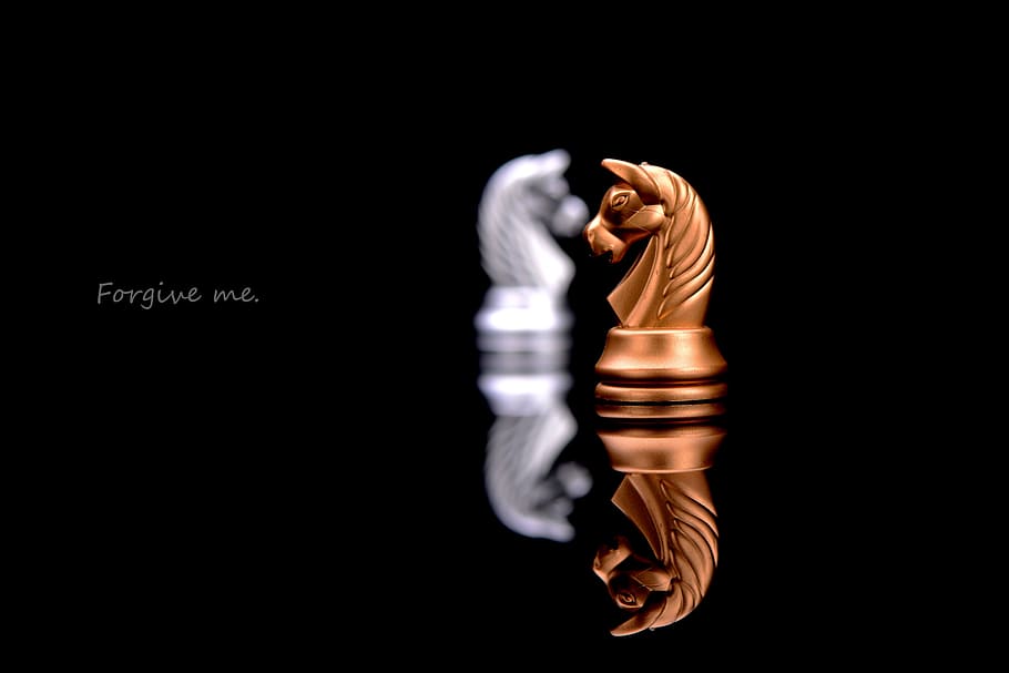 close, brown, horse chess piece, forgive, text overlay, Forgive me, text, chess, love, story