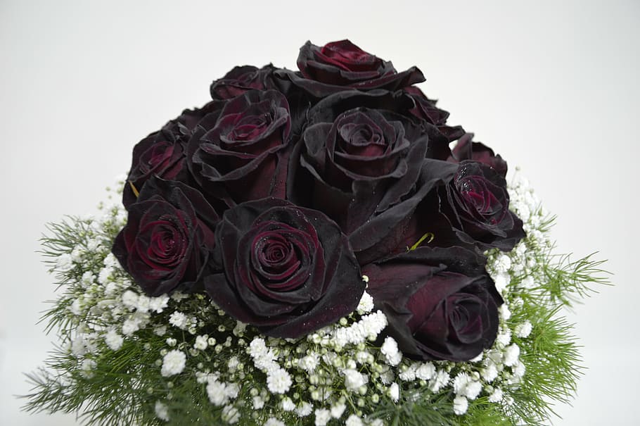ramo, negro y rojo, rosa, blanco, flores, ramo de novia, rosas negras, rosa  negra, ramos de novia, flor | Pxfuel