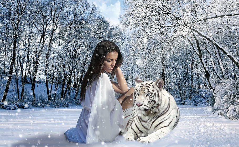 woman seats, tiger, snow season, woman, snow, winter, nature, feelings, look, imagination