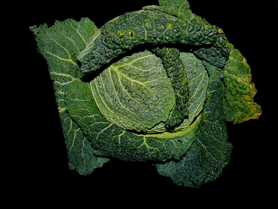 savoy, kohl, autumn, stew, vegetables, green leaves, food, savoy cabbage, head cabbage, green color