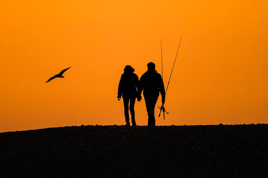 silhouette, couple, fishing rods, flying, bird, hill, sunset, people, summer, beach