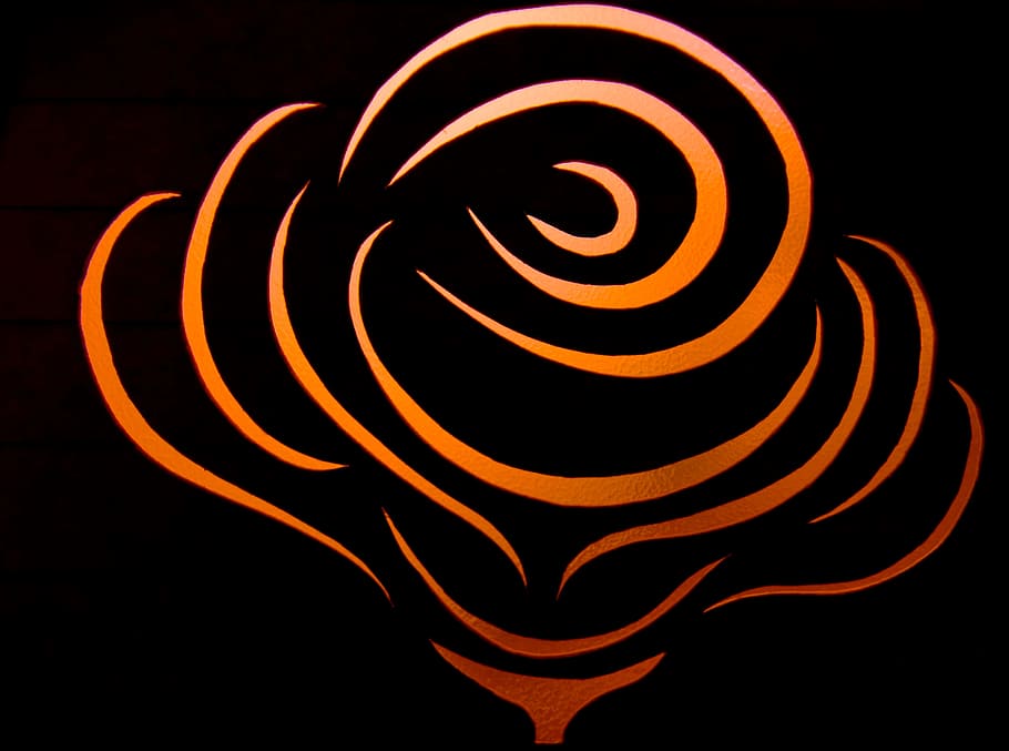 Flower, Contour, Color, Outlines, rose, silhouette, spiral, swirl, close-up, curve