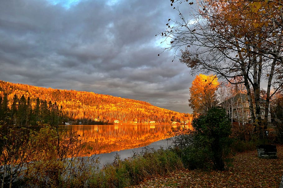 landscape, nature, fall, trees, colors, mountain, scenic, evening, lake, water