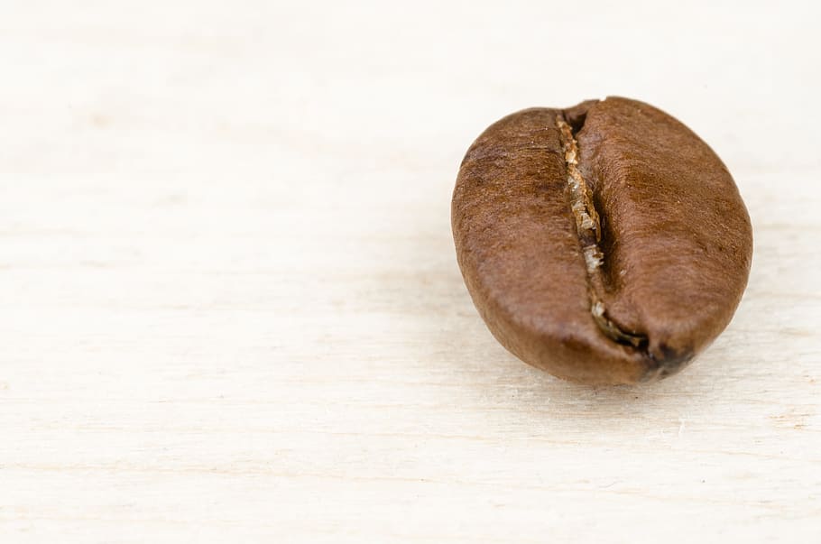 brown, nut, top, white, board, coffee, caffeine, seed, background, black