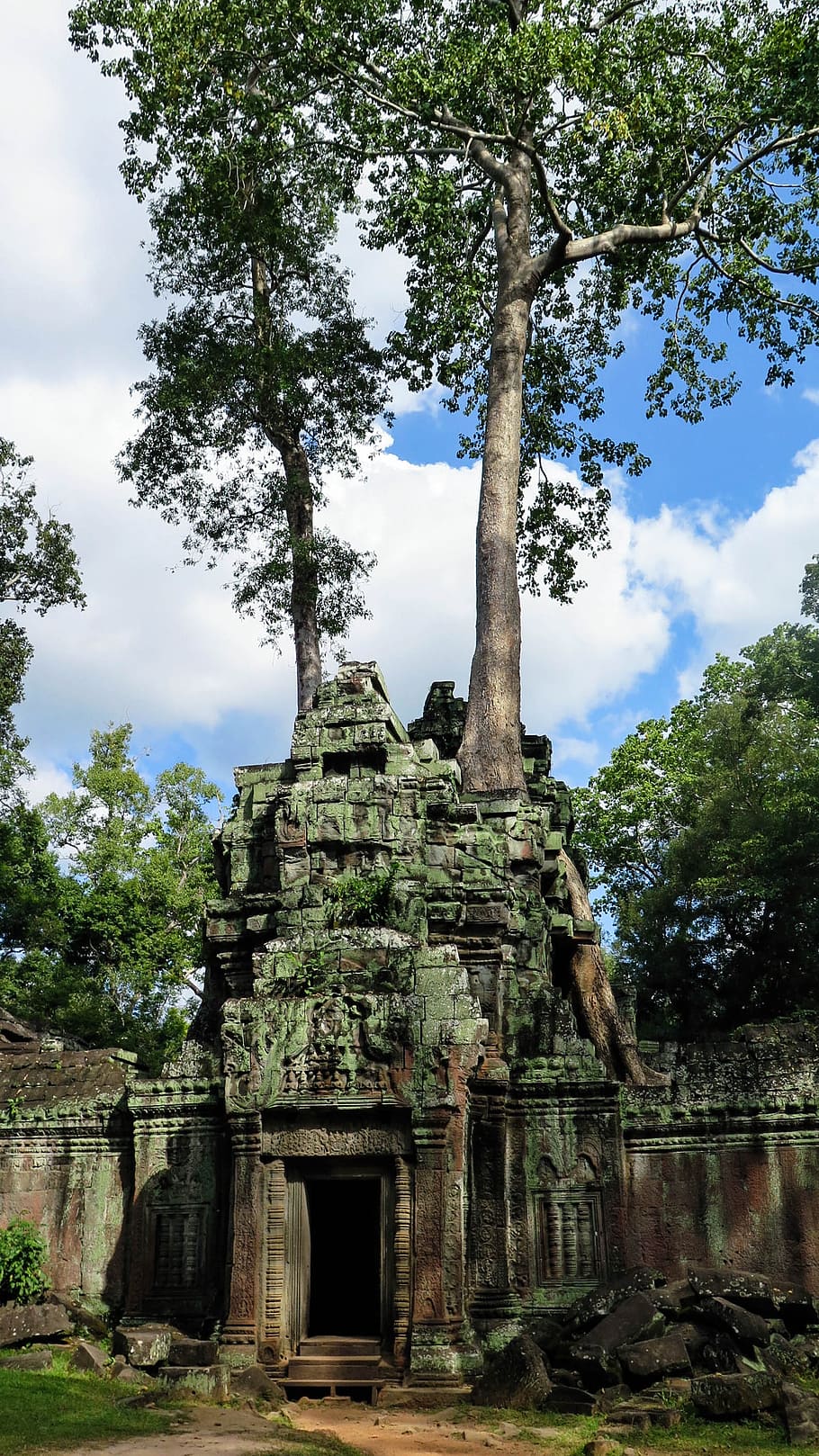 cambodia, angkor, temple, ta prohm, history, asia, temple complex, root, tree, jungle