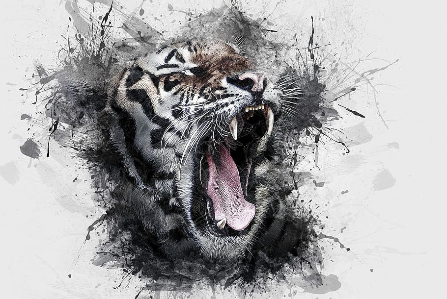 bengal tiger illustration, tiger, head, wildlife, animal, wild, feline, cat, nature, mammal
