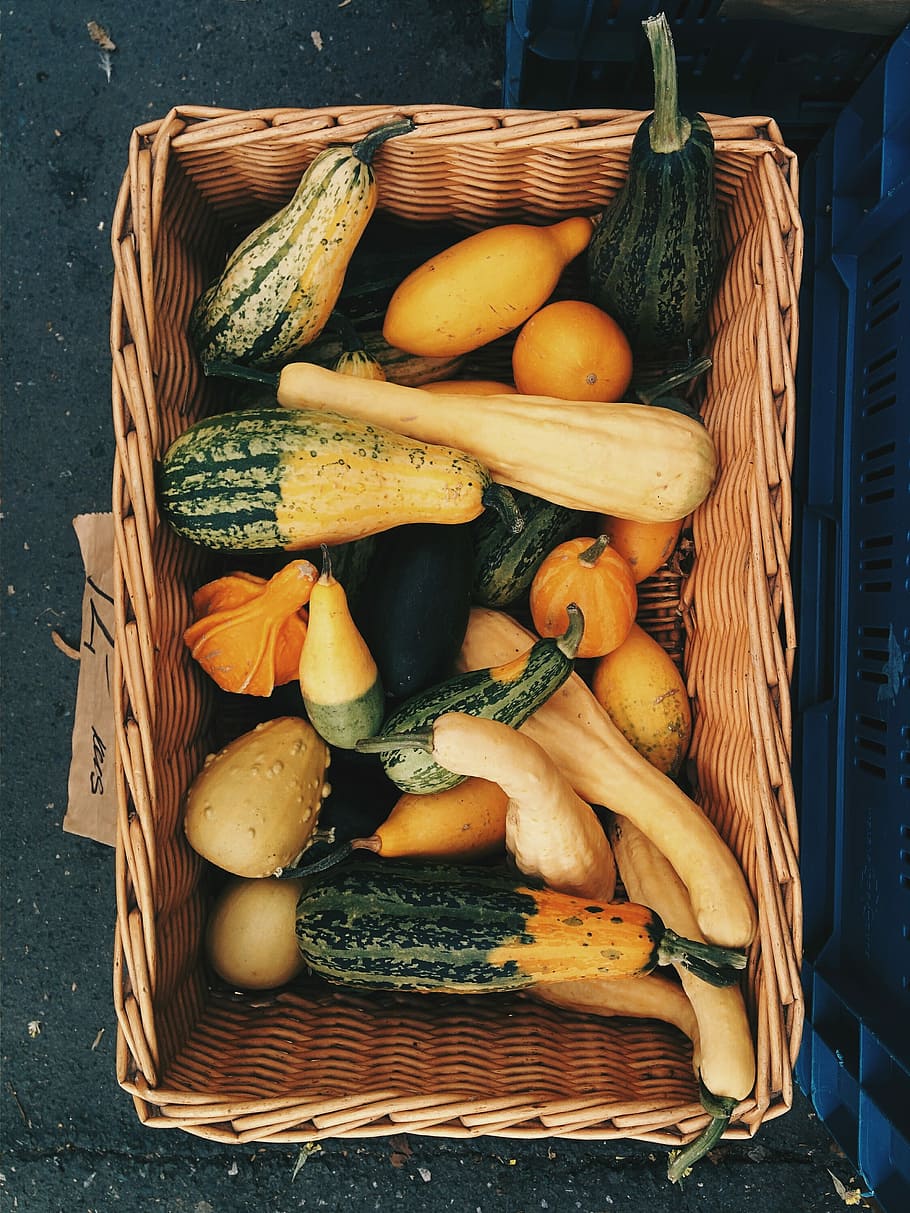 pumpkins, farmers market, Decorative, pumpkin, top view, vegetable, food, freshness, organic, basket