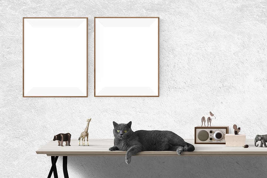black, cat, top, white, wooden, rack, poster mockup, mockup, poster, frame