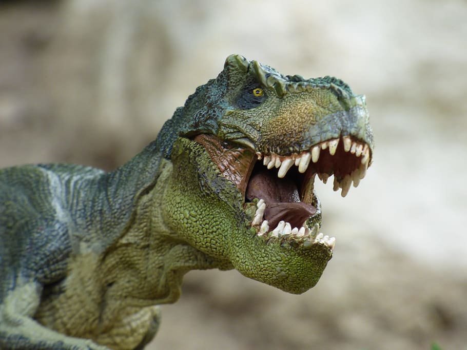 verde, fotografía macro de t-rex, t-rex, fotografía, tiranosaurio, dinosaurio, prehistoria, juguete, juego, figurilla