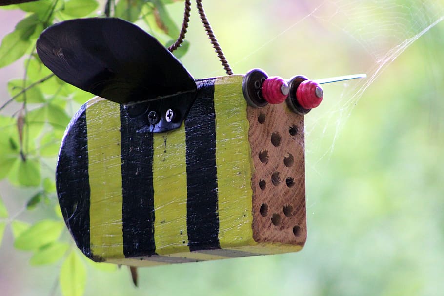 bee, insect hotel, wood, gift, focus on foreground, close-up, hanging, day, nature, green color