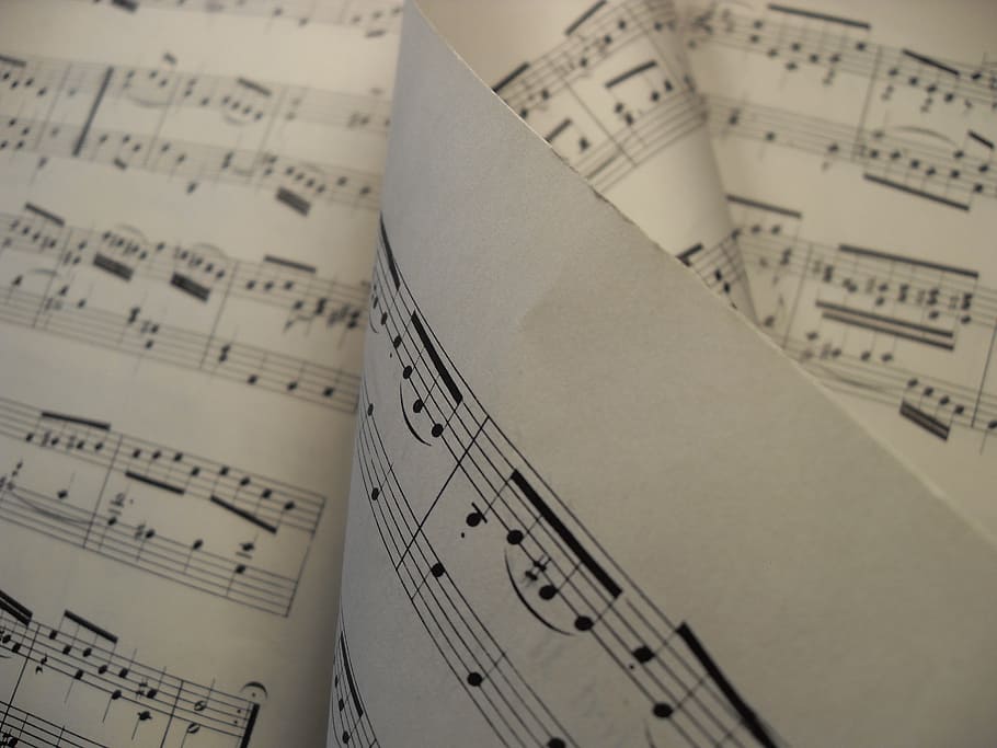 white, music note book, sheet music, music, melody, sheet, score, piano, treble, clef