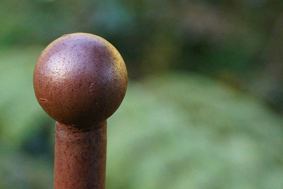 rustic, pole, nature, solid, close-up, focus on foreground, food, growth, plant, food and drink