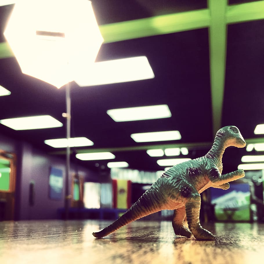 dinosaurus, cahaya, lucu, masa kecil, menyenangkan, bermain, mainan, binatang, di dalam ruangan, representasi hewan
