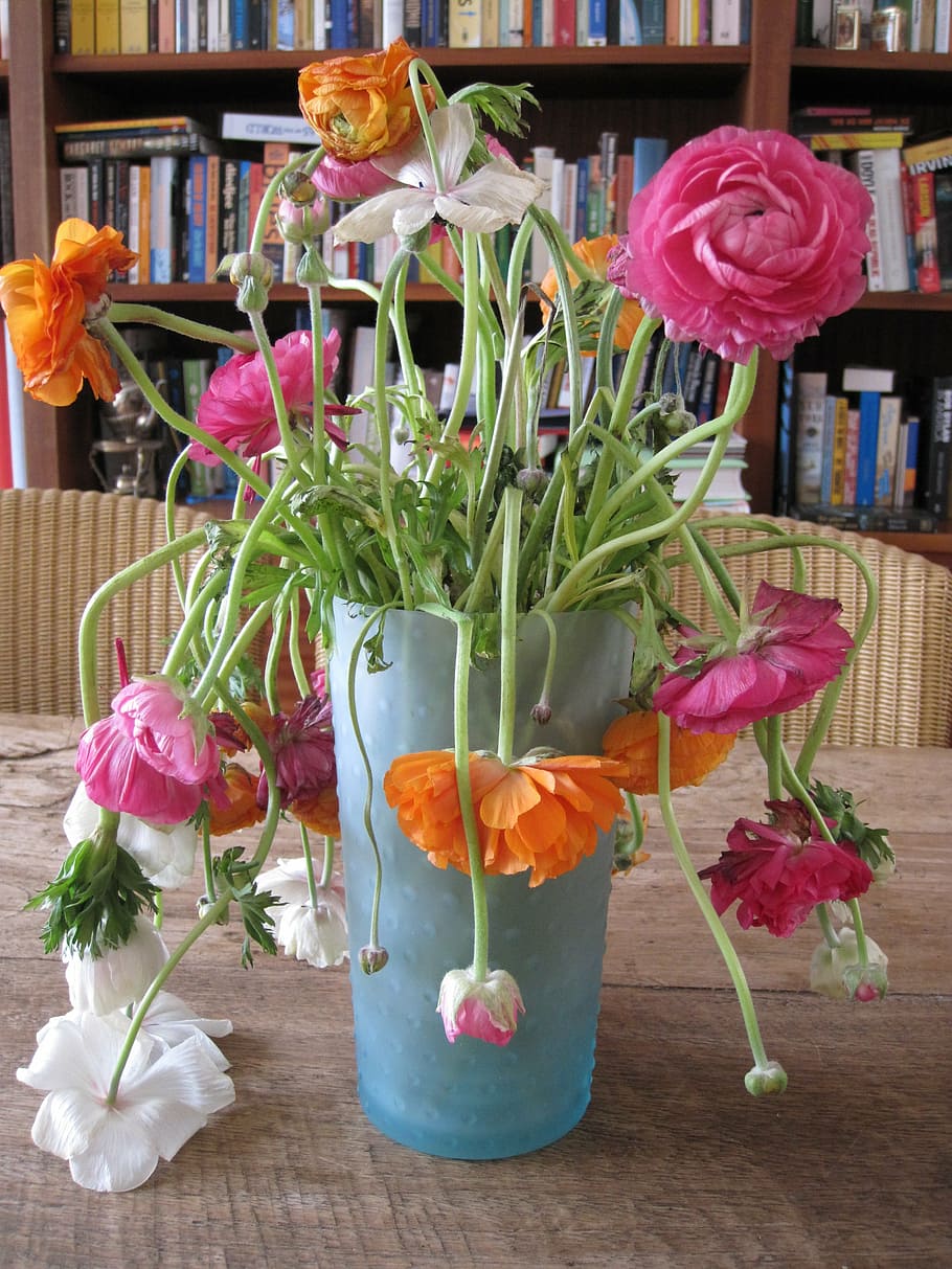 bunga, vas, binasa, tamparan, seni, tanaman berbunga, kesegaran, tanaman, meja, kerentanan