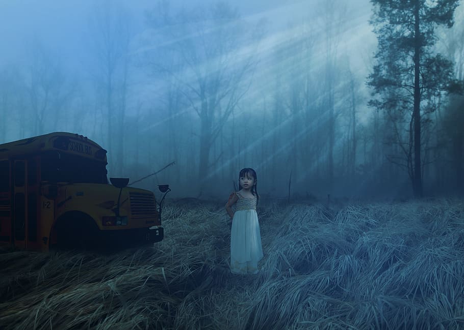 horror, school bus, alone, one person, forest, fog, land, tree, nature, plant