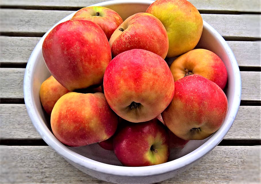 apple, holsteiner cox, new crop, old apfelsorte, north german, fruits, pome fruit, healthy, sweet sour, rich in vitamins