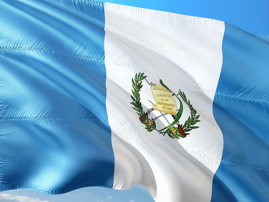 white, blue, vertical, stripe laurel-printed flag, international, flag, guatemala, central america, nature, plant