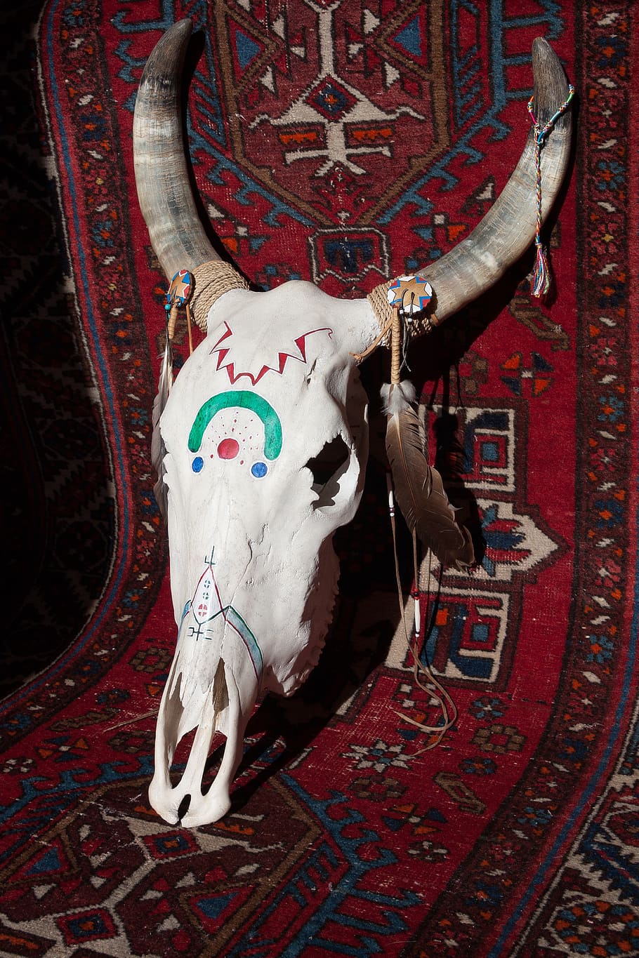 animal skull, area rug, skull, beef, painted, horn, bone, cattle skull, skeleton, indians