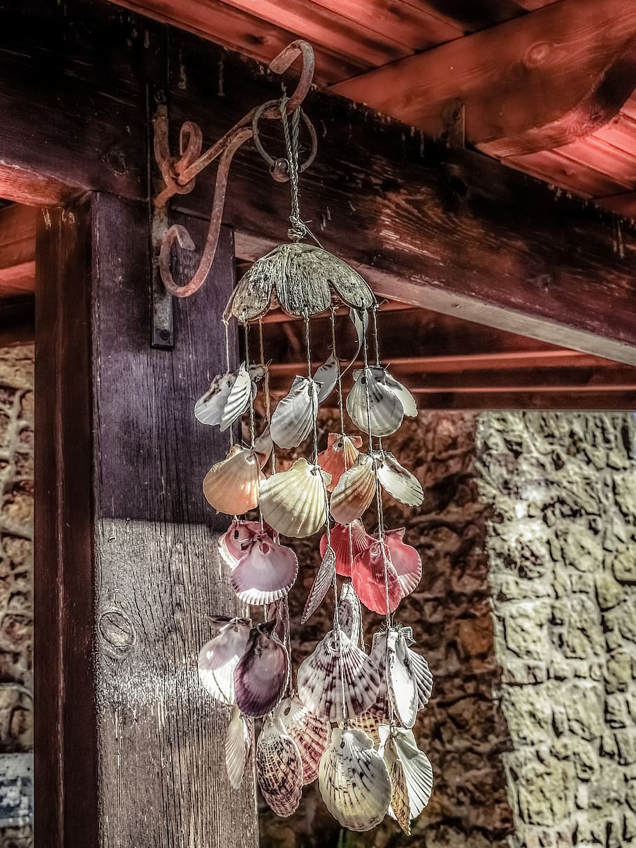 windspiel, shells, feng shui, hanging, decoration, wood - material, close-up, day, focus on foreground, indoors