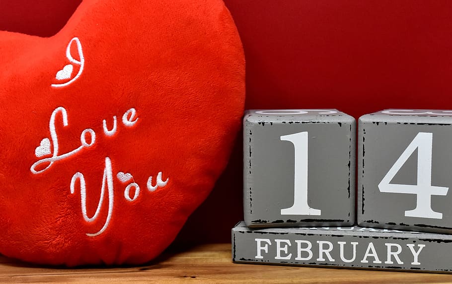 하트 모양의, 빨간색, 사랑합니다, 자수, 베개, 옆에, 2 월 14 일, 독립형, 편지, 발렌타인 데이