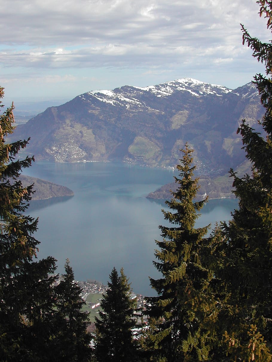 Klewen, Klewenalp, Nidwalden, Suiza central, región del lago de Lucerna, Suiza, paisaje, estribaciones de los Alpes, lago, árbol