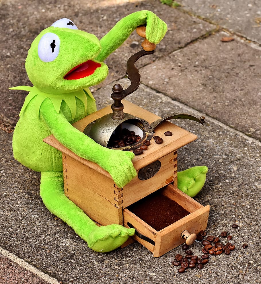 grinder, coffee beans, kermit, stuffed animal, coffee grind, toys, coffee, grind, old, benefit from
