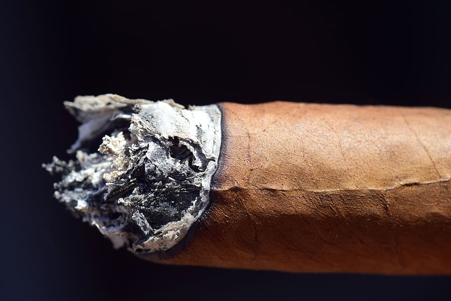 ash, cigar, smoking, enjoy, tobacco, tobacco leaves, little, little ashes, short, brown