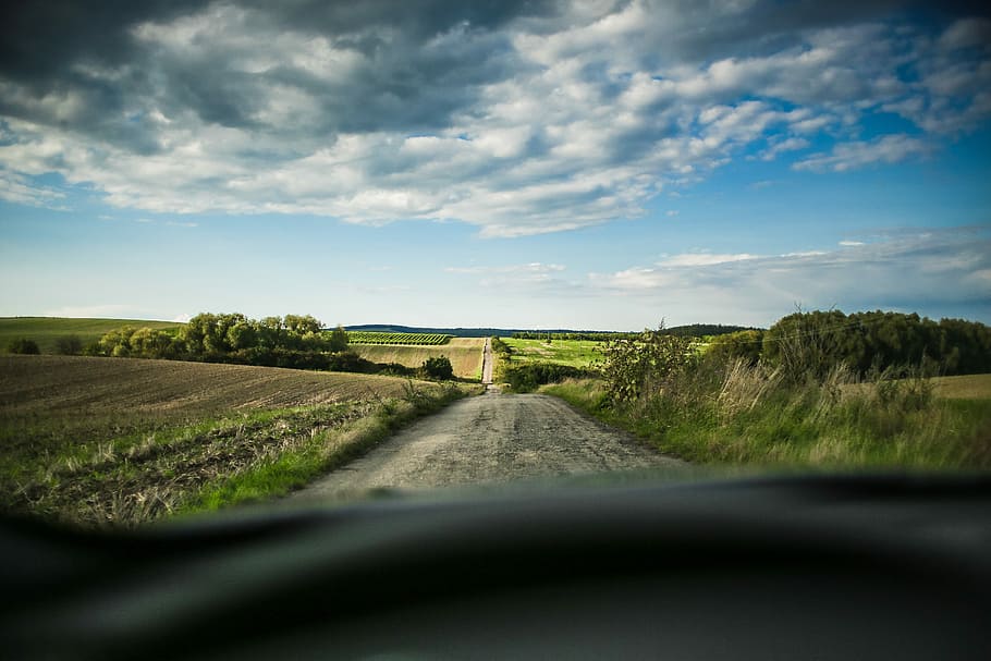 solitario, carretera, Lonely Road, Medio, Campos, automóviles, República Checa, Moravia, Escena rural, naturaleza