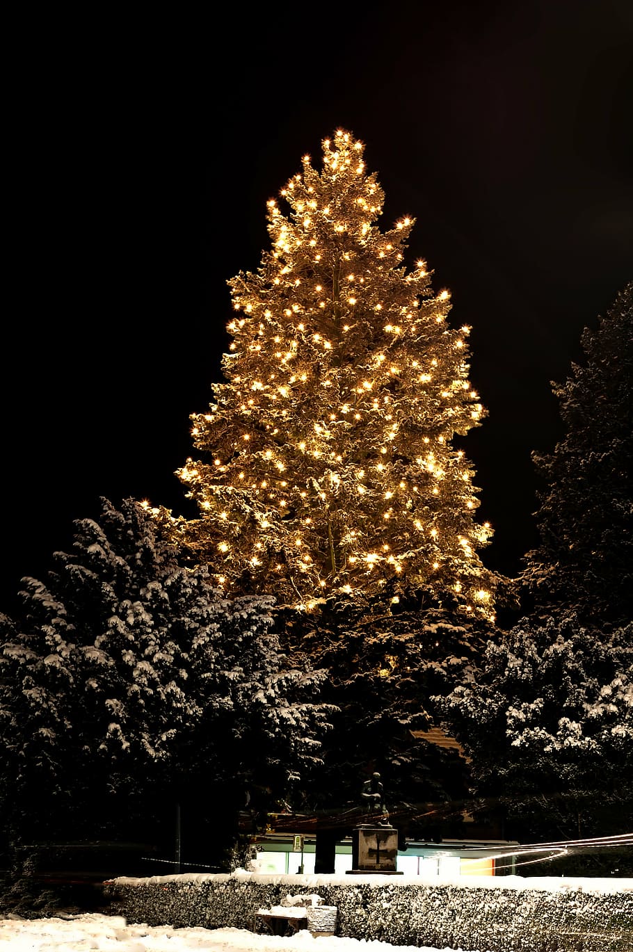 pohon pra-menyalakan, natal, weihnachtsbaumschmuck, hijau, glaskugeln, salju, penerangan, pohon, gelap, malam