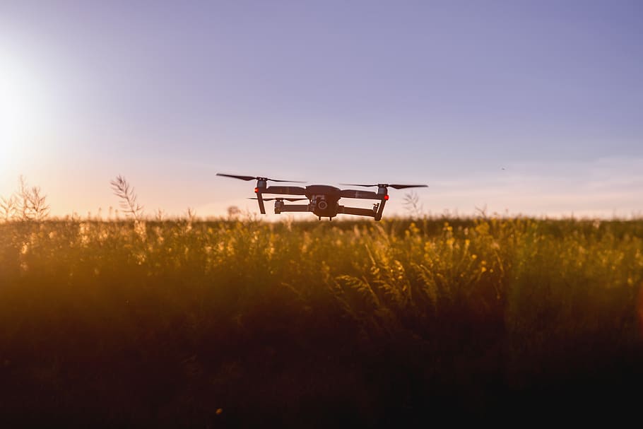 grande, drone, pôr do sol, campo, sol, fazenda, trigo, cevada, câmera, voar