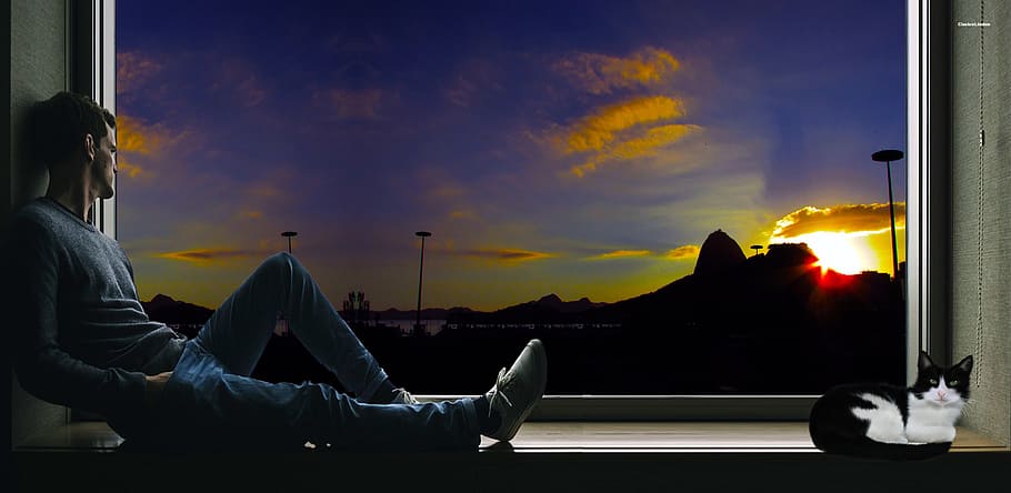 persona, inclinado, ventana, frente, gato, Brasil, Río de janeiro, pan de azúcar pão de açúcar, emociones, ilustración