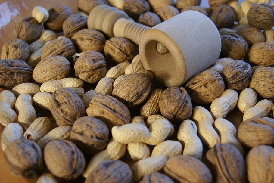 nutcracker, tree nut, peanut, delicious, nibble, market, healthy, shell, food and drink, food