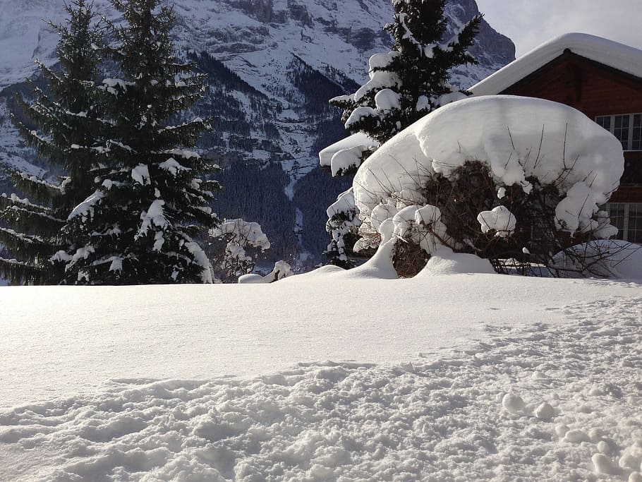 Mountain Hut, Snowy, Wintry, hut, mountains, snow, switzerland, alpine, deep snow, winter