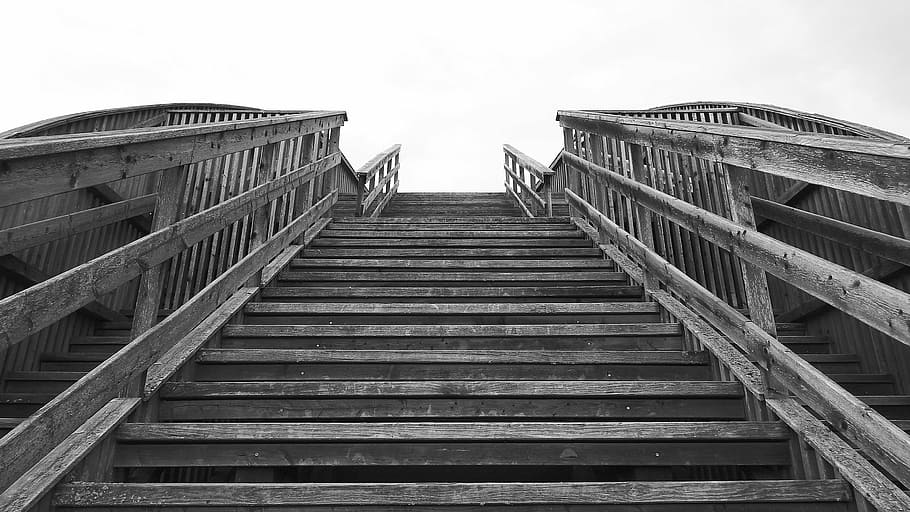 low, angle photography, wooden, stair grayscale photo, stairs, wooden ladders, emergence, black and white, gradually, architecture