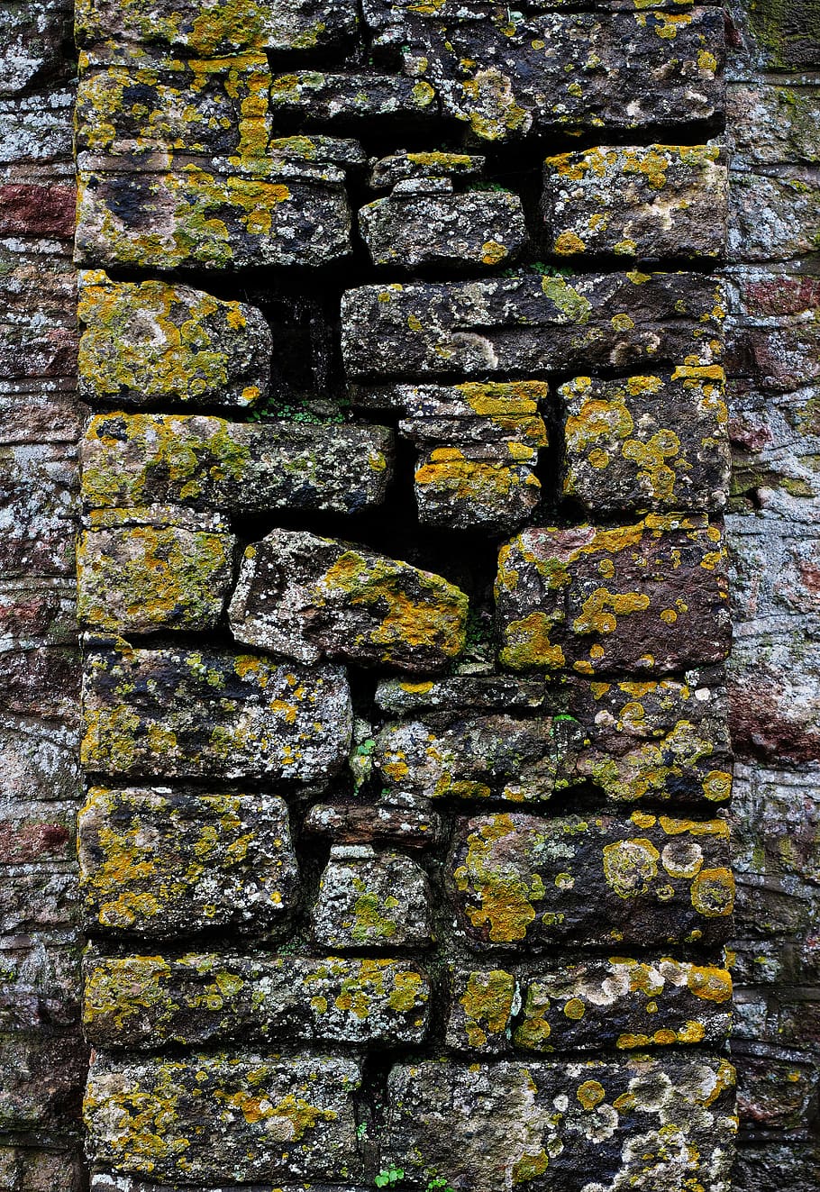 wall, stone, lichen, masonry, texture, structure, old, building, crack, crevice