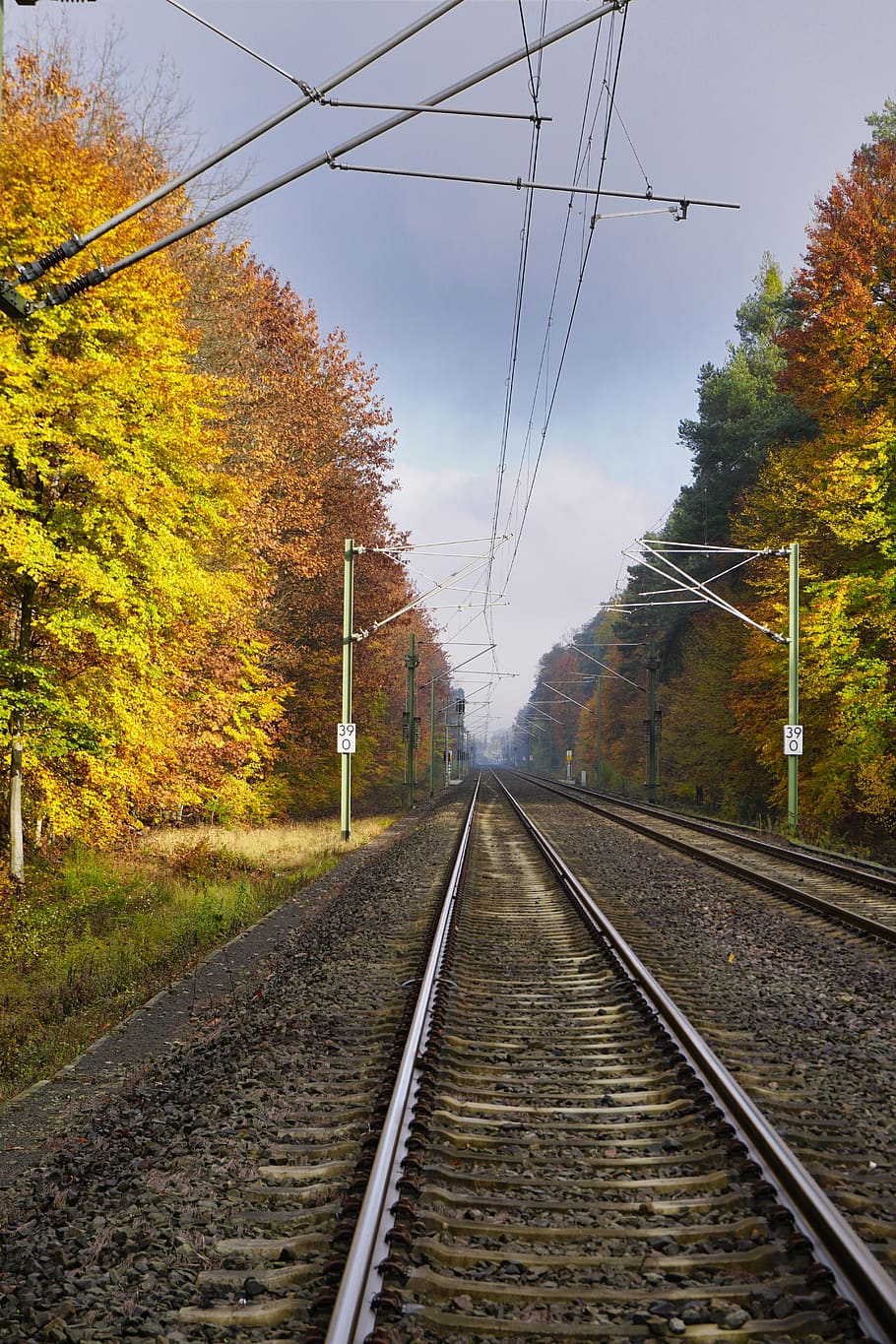 autumn, forest, rails, gleise, sky, clouds, mood, trees, sunny, atmosphere