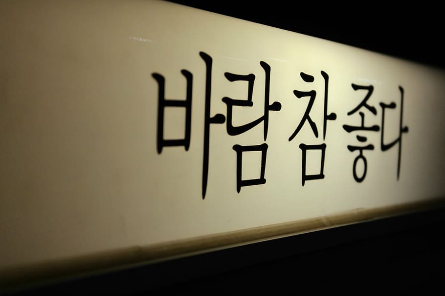 kanji text, wind may indeed, yeouido, hangul, sign, text, communication, indoors, illuminated, wall - building feature