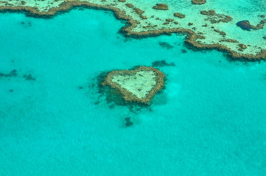 aerial, view, body, water, daytime, heart, coral, australia, coral reef, great barrier reef