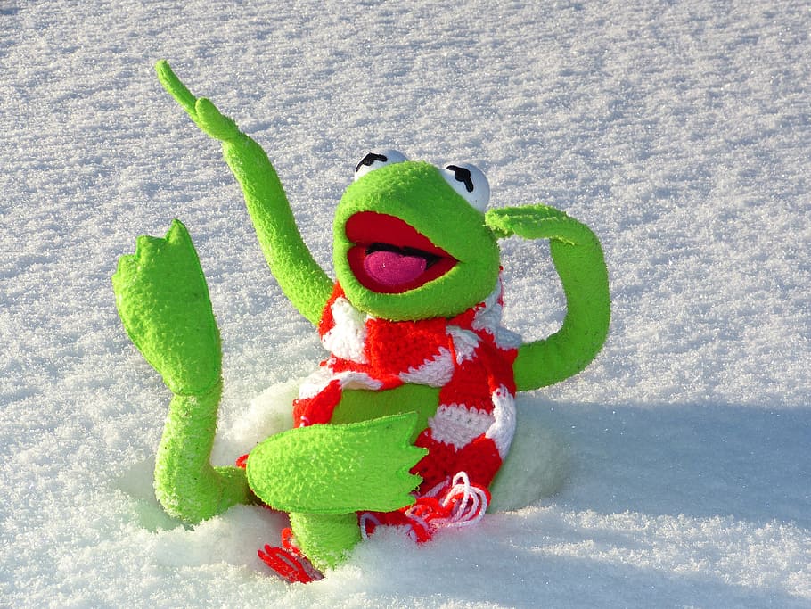 カーミット, カエル, 横になっている, 雪, 楽しい, 冬, 寒い, 緑の色, 人なし, おもちゃ