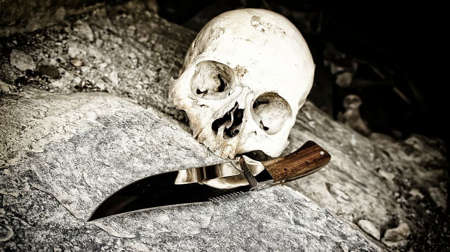 white, skull, brown, dagger knife, gray, concrete, surface, knife, bone, death