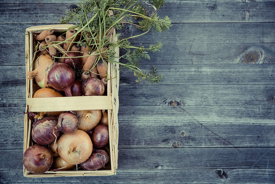 orange, carrots, purple, onions, basket, vegetables, harvest, cultivation, thanksgiving, garden