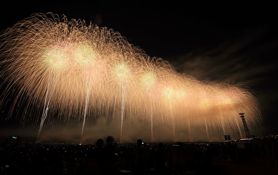 fotografia, fogos de artifício, noite, pirotecnia, celebração, evento, ano novo, mostrar, céu, explosão